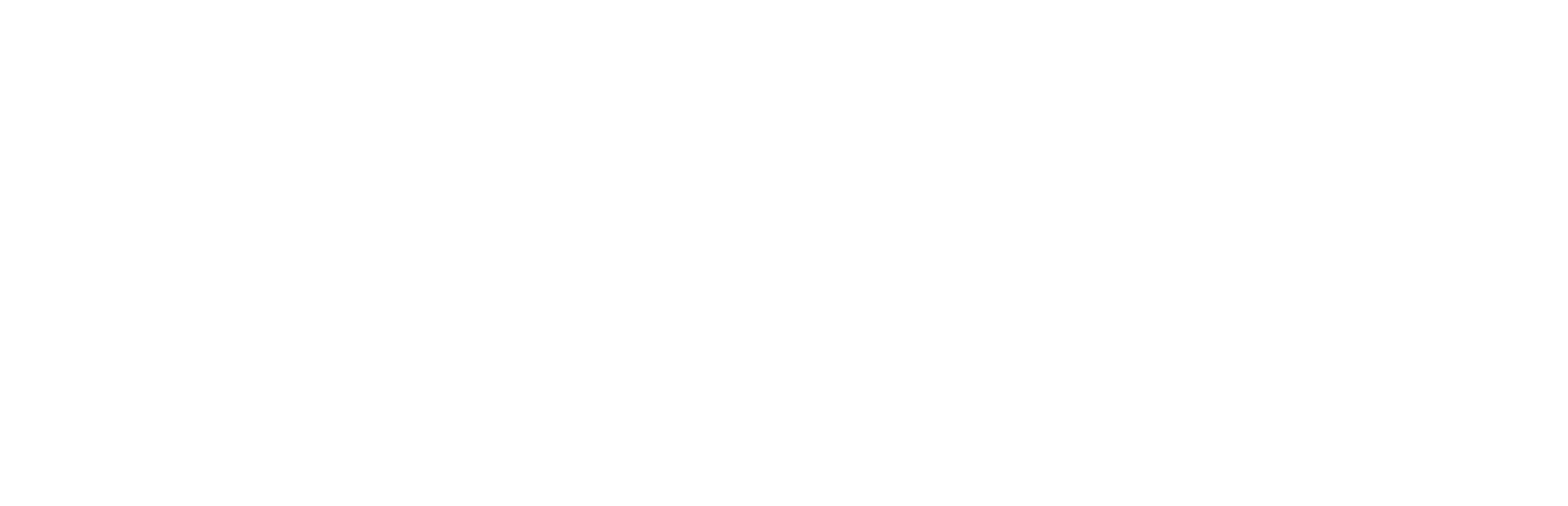 Awelja digital agency